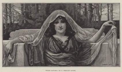 Veiled Fancies